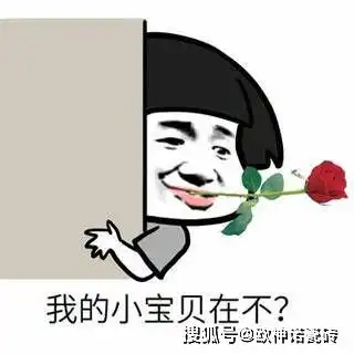 嗨美丽的姑娘表情包饺子