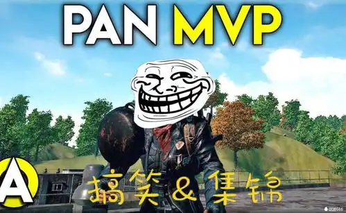  绝地求生搞笑图片最怕友军突然的关心