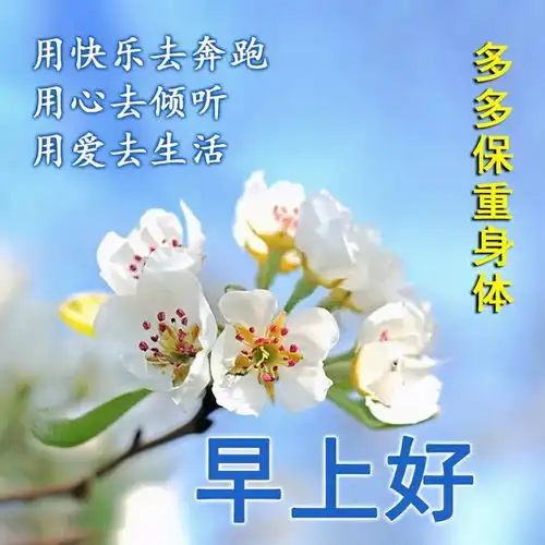  早上好祝福精选词句图片,愿我的问候带给你快乐,早安我的朋友