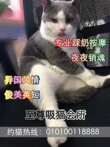  上海惊现吸猫会所,网友多地实拍地下猫色场所