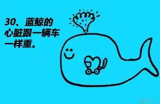  有趣,通过漫画科普冷知识