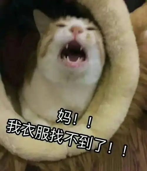  孩子总是丢三落四对不起问题出在你身上