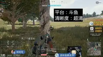  绝地求生大火,哪里吃鸡更顺畅