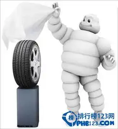 2015年全球十大轮胎品牌排行米其林居然排第二  2015年全球十大轮胎品牌排行米其林居然排第二