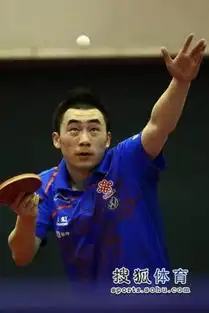  组图盘点直通赛表情王励勤似中枪张继科长叹