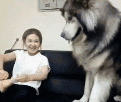  搞笑gif趣图好难过,爸妈吵架总拿我出气