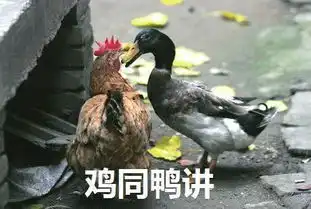  图说年假将尽,鸡年大吉了吗