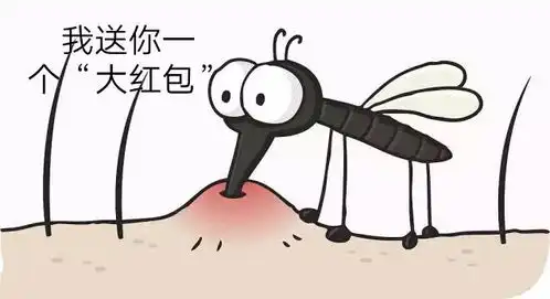 贵州开启驱蚊大战,满身红包蚊子为什么只叮我  贵州开启驱蚊大战,满身红包蚊子为什么只叮我