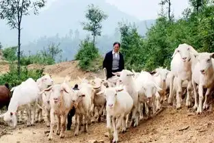 国庆七天假,十堰人一定要去这里 国庆七天假,十堰人一定要去这里