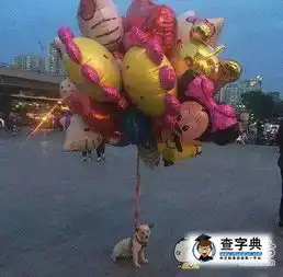  小姐,买个气球再不买我就要上天了搞笑图片