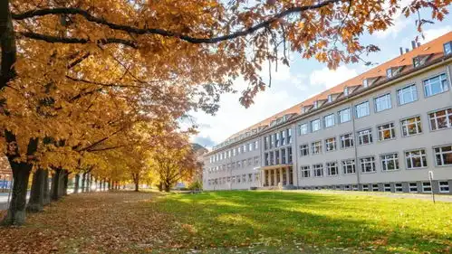  美国大学恢复秋季学期线下授课,国际生还能继续上网课吗
