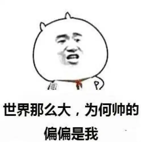  爆笑gif如果不挤的话我也想上去