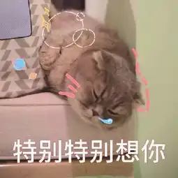  关于想你的表情包合集我有一点点想你