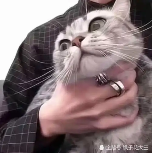 超甜可爱动漫情头我的一生借你一程,这一程便是余生 超甜可爱动漫情头我的一生借你一程,这一程便是余生