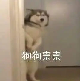  8周年专属套装效果是什么