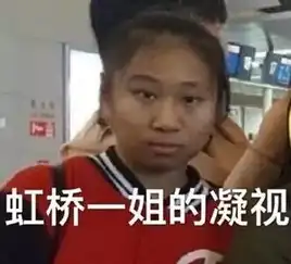  虹桥一姐是下一个凤姐虹桥一姐有没有火的潜力