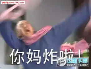  还珠格格上学表情包下载飞翔下载
