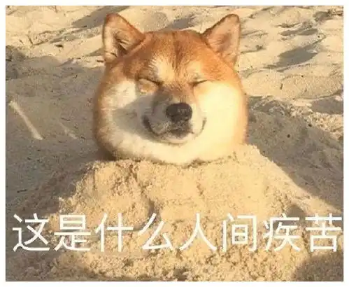出去玩表情包搞笑图片沙