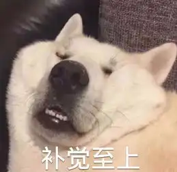 搞笑图片头像高清