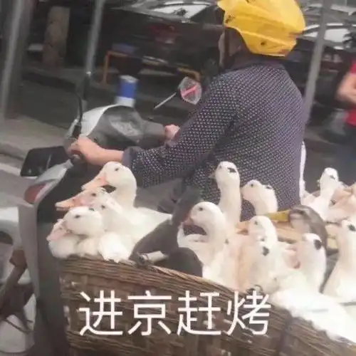  给你们推荐一些搞笑图片表情包哈哈哈哈