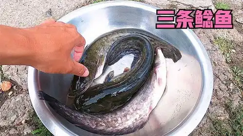  东北农村一家人解决夏天洗澡问题,中午鲶鱼炖茄子,好吃又下饭