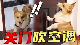  网络上的有毒沙雕搞笑图片第四期,我真的能一直笑下去吗