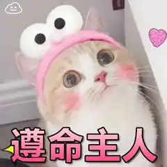  网络常见表情包之喵