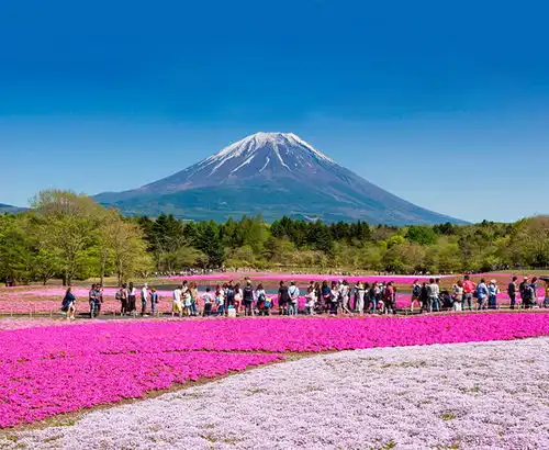 第一次去日本,有哪些线路适合你  第一次去日本,有哪些线路适合你