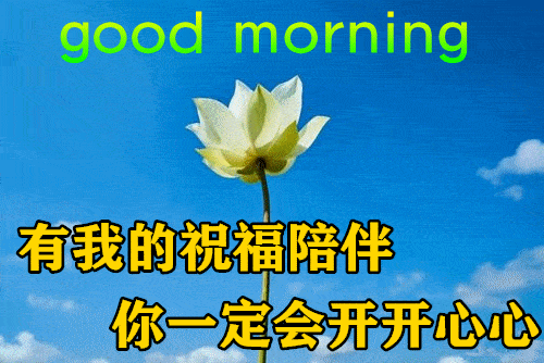  最漂亮早上好动态表情图片大全,早晨好动图美图大全