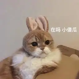  感谢你们推荐朋友来活动结束我搞个点赞啥的加了卫星的宝贝yap的美拍