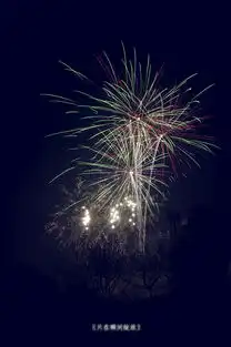 一个人看烟花图片