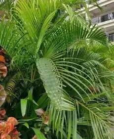 搞笑日报开学后第一批小学生作业曝光,哈哈笑哭 搞笑日报开学后第一批小学生作业曝光,哈哈笑哭