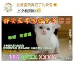  暗访地下猫色场所,封袋写真曝光
