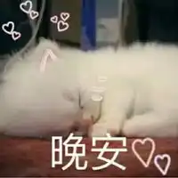  喵星人各种卖萌可爱表情包