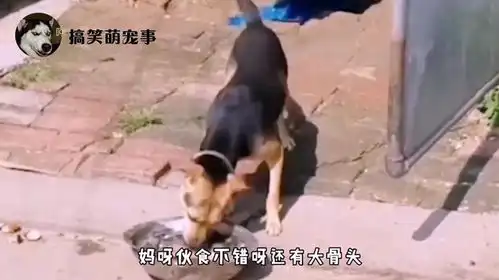  搞笑配音就我这小暴脾气,惹急了连铁都干