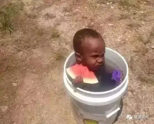  来点搞笑图片,带你重回炎热的夏天