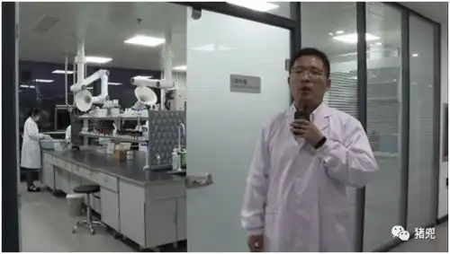  双十一华辰携手猪兜开创农牧领域直播带货新模式