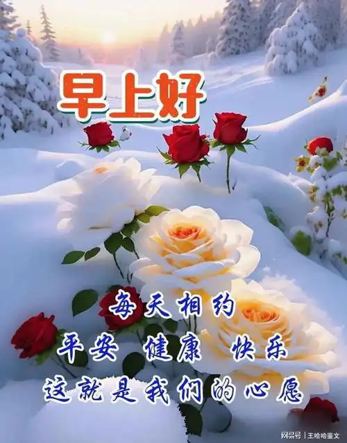  寒冬腊月深冬清晨的幸福问候,带给你一天温馨与美好
