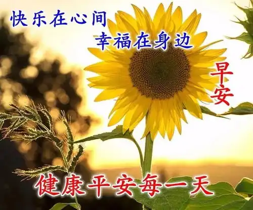  超级漂亮的早安祝福图片非常走心的早安问候语