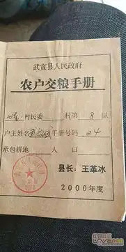  大胆包天村支书强占村生产队集体土地,村民欲哭无泪