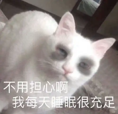  热门表情包图片别动,我在给你拍照,留下证据
