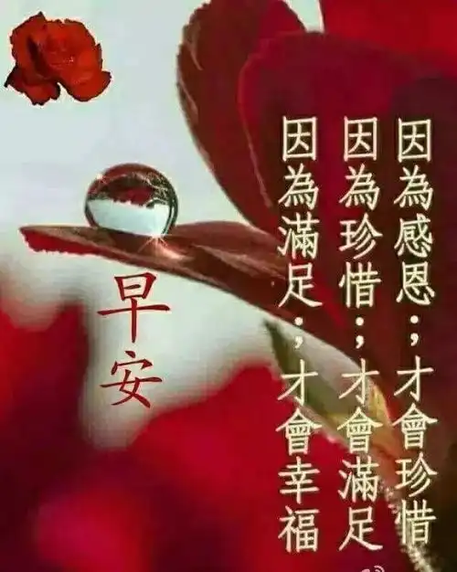  朋友圈群发最暖早安问候语微信祝福清晨早上好问候语录图片
