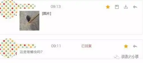  横县友抓获新型艾滋病虫