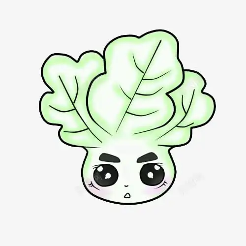  卡通大白菜元素免抠png设计图片免费下载页面网页平面电商创意素材手绘表情素材