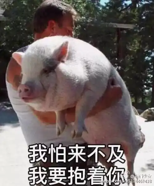 新台风生成预计后天来袭这个周末福州将......  新台风生成预计后天来袭这个周末福州将......