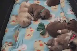  搞笑段子笑话gif趣图昨晚和女朋友去喝喜酒