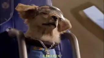  太空犬高清在线观看