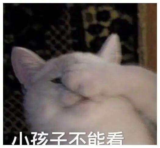  搞笑gif说实话,鄙人从未见过这么大的场面