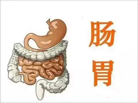  每天蒸饭加一把它,身体健康远离三高心脏病