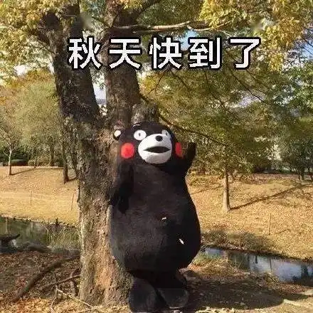  阿嚏长沙冷空气已到货,假期后几天还下雨吗